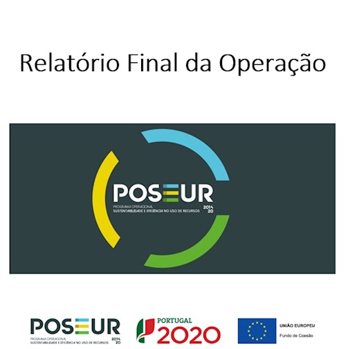 Relatório final